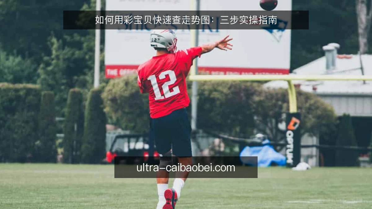 如何用彩宝贝快速查走势图:三步实操指南