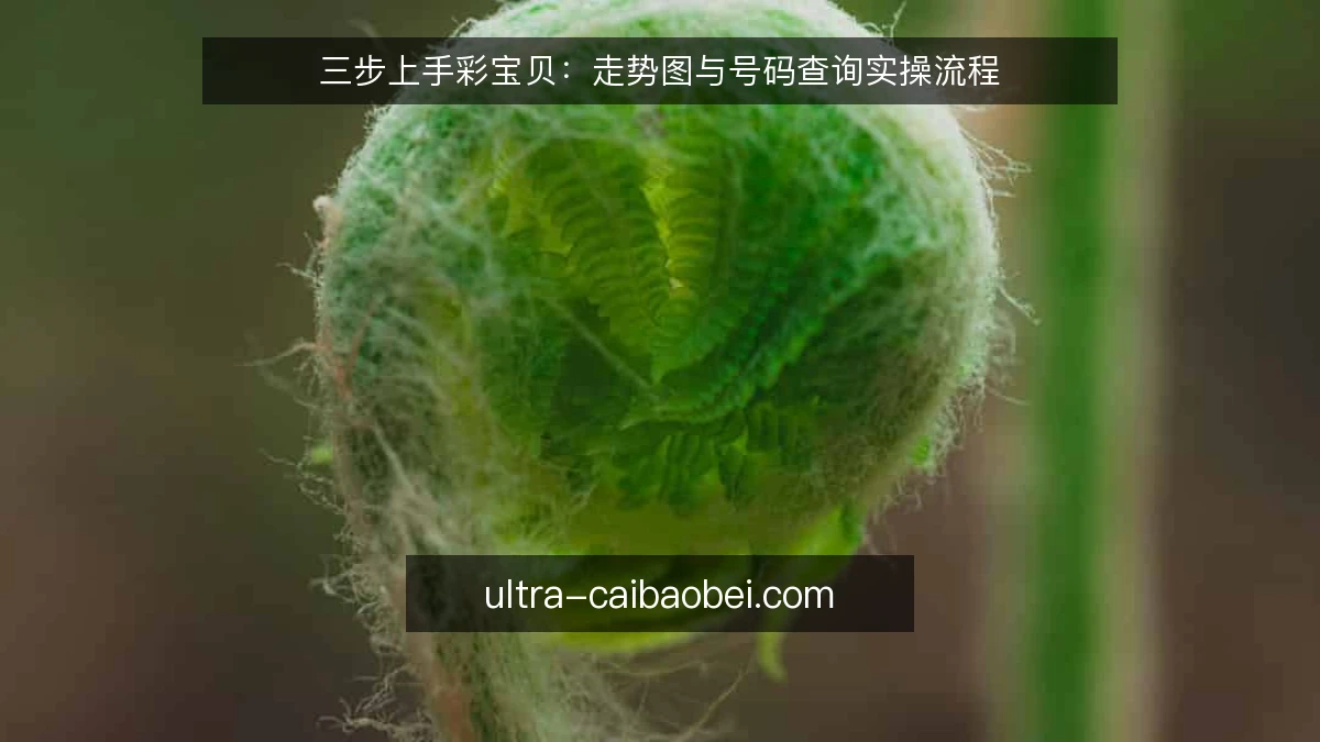 三步上手彩宝贝：走势图与号码查询实操流程
