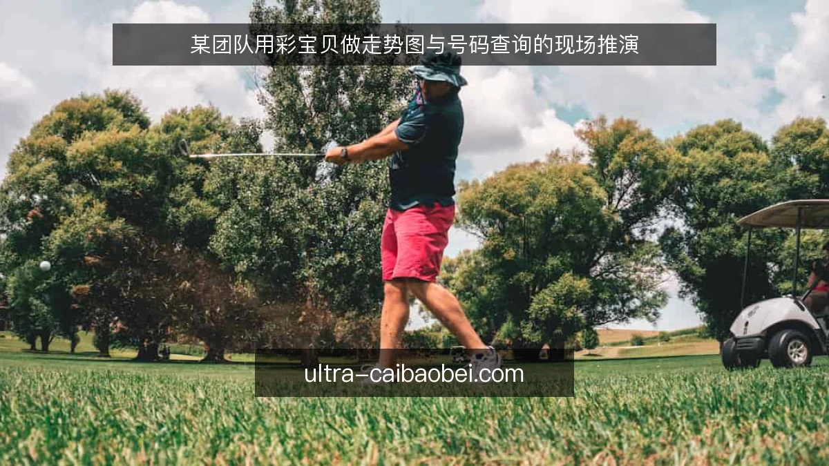 某团队用彩宝贝做走势图与号码查询的现场推演
