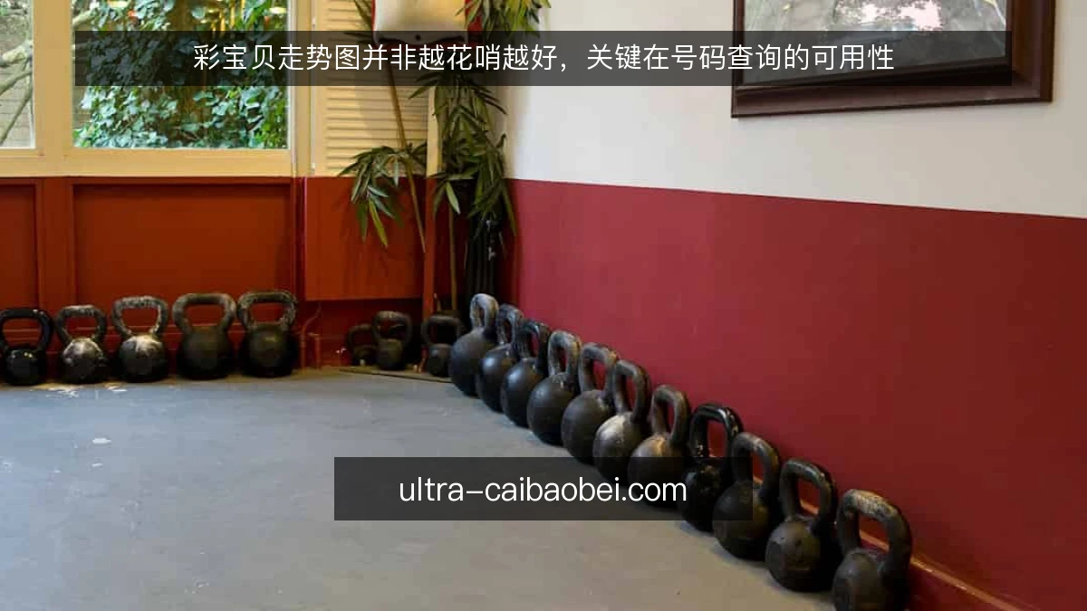 彩宝贝走势图并非越花哨越好，关键在号码查询的可用性
