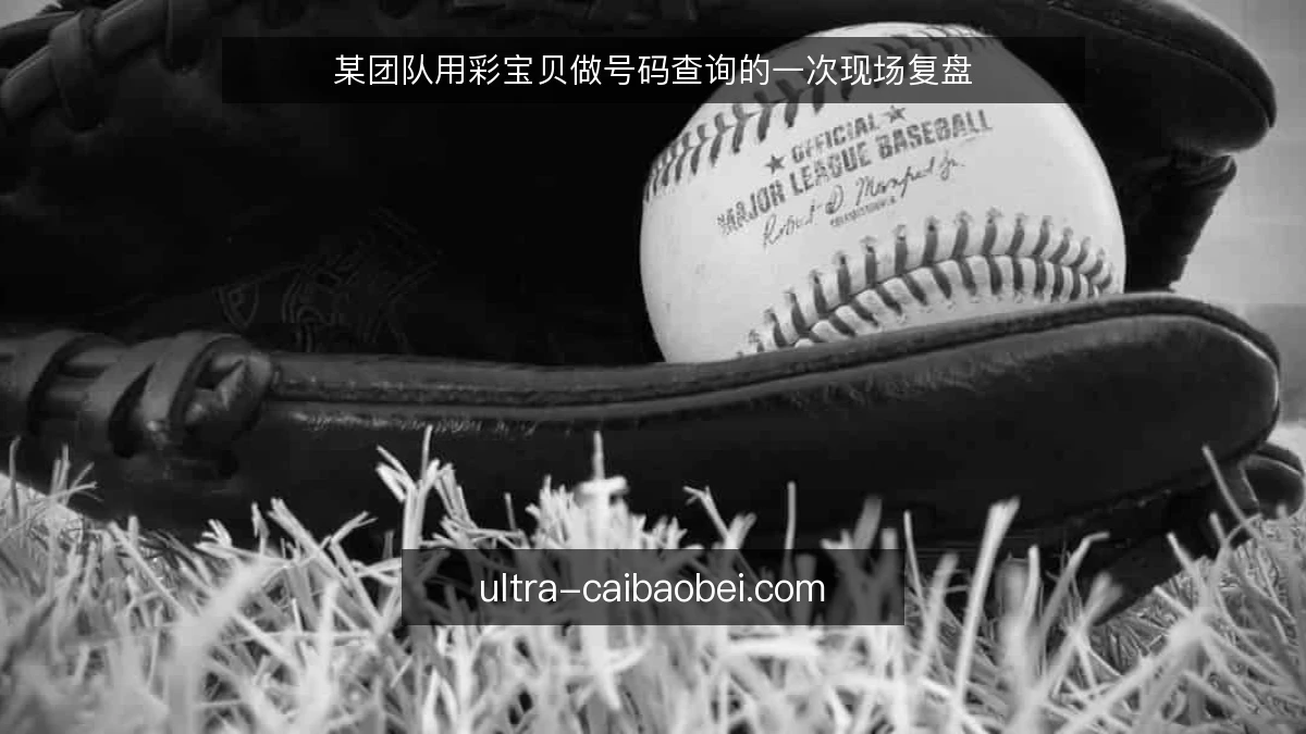某团队用彩宝贝做号码查询的一次现场复盘
